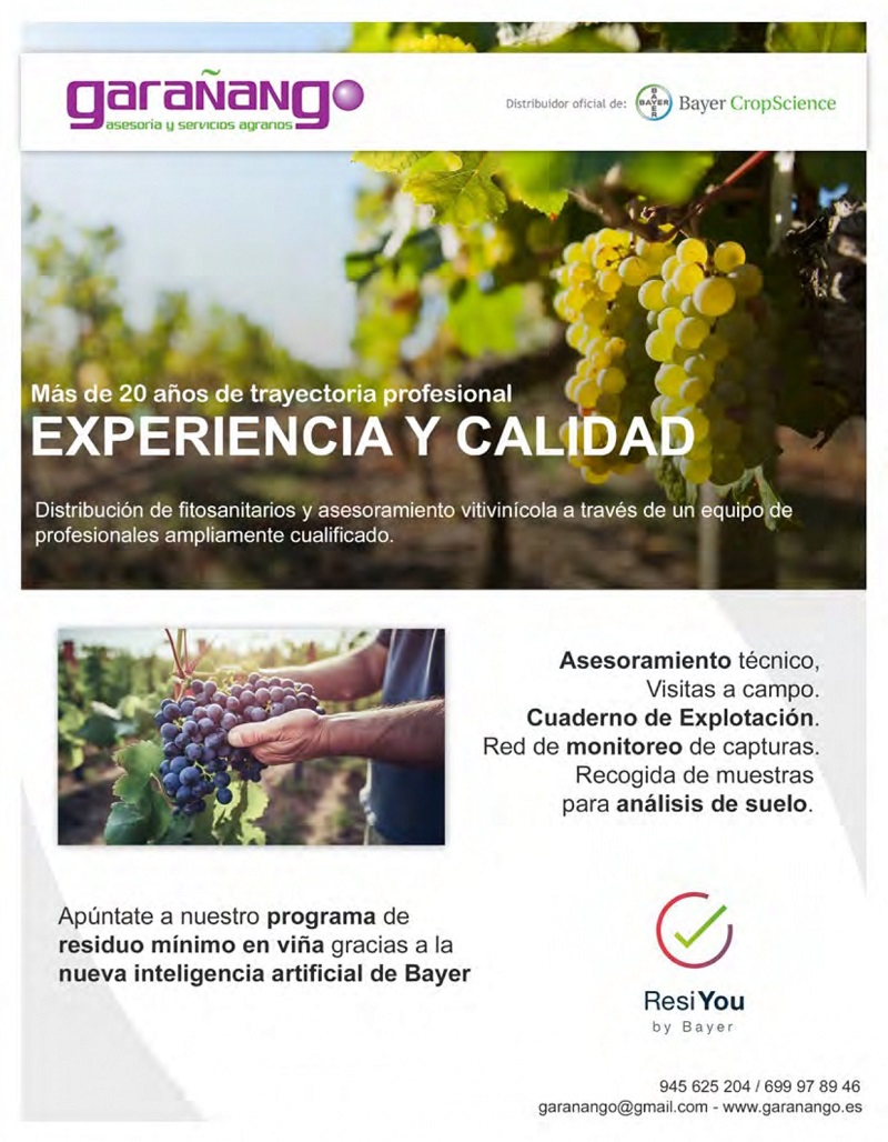 Programa de fiestas 2025