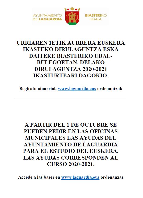 ayudas euskera