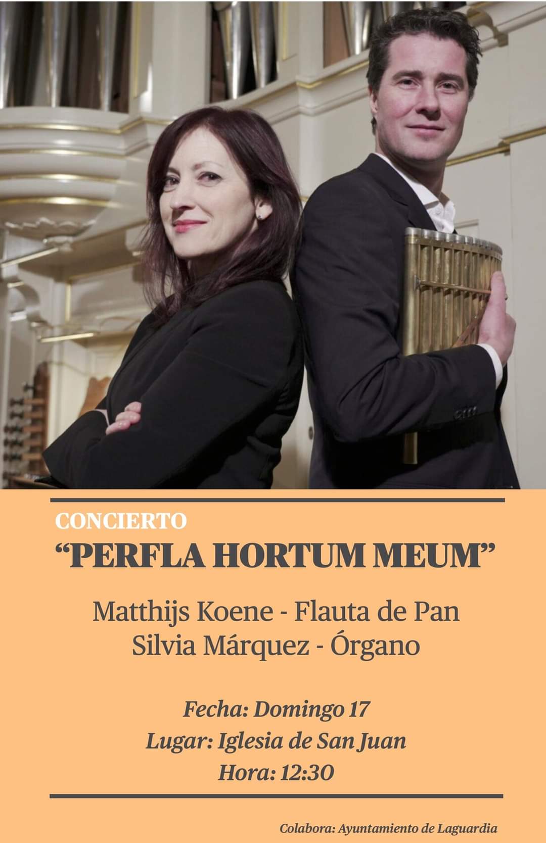 Concierto domingo 17 diciembre