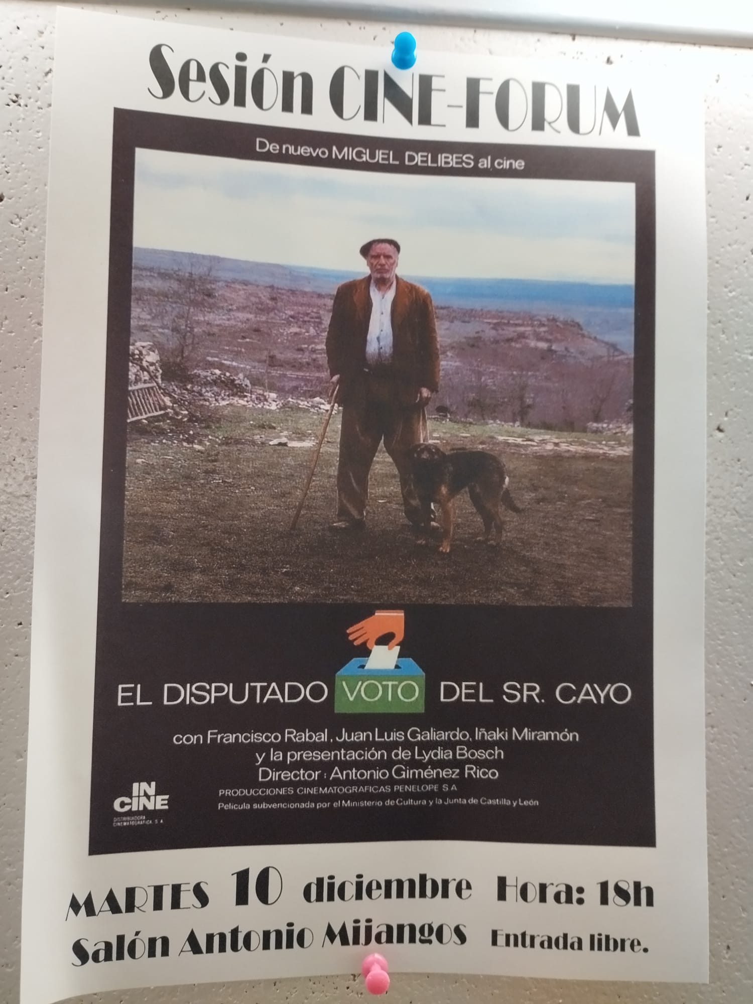 cine forum 10 diciembre