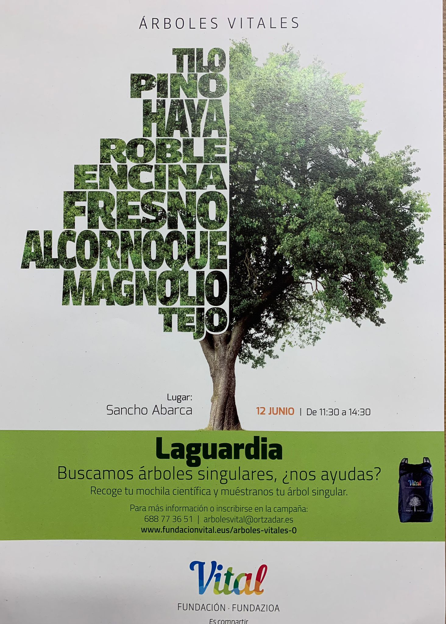 ARBOLES VITALES