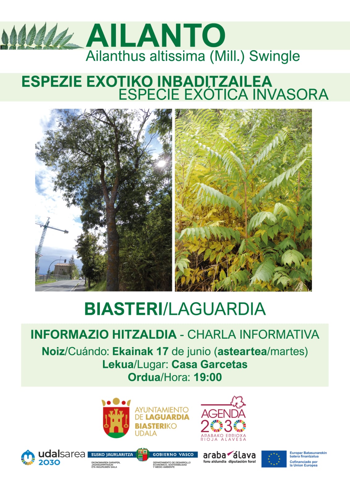 charla ailanto