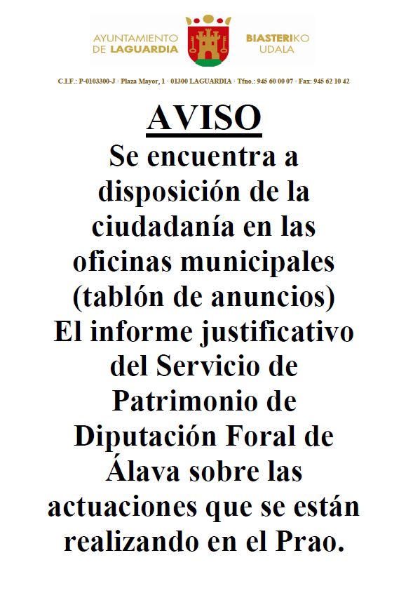 INFORME DIPUTACION ACTUACIONES EL PRAO