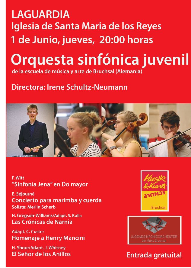 ORQUESTA SINFONICA JUVENIL